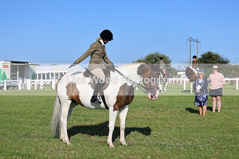 IMG_1259 - Class 27: Ridden Plaited Coloured Horse