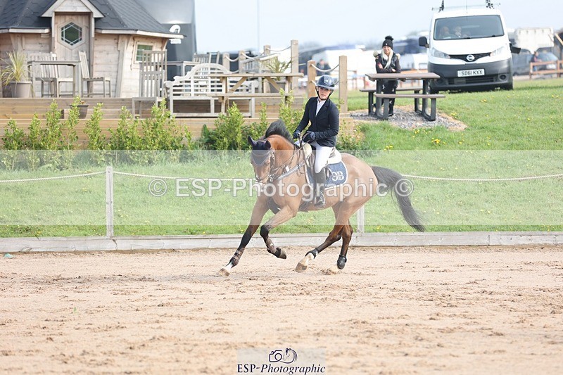 250424-092742-02802 - Cls 29 Young Horse 6yr old