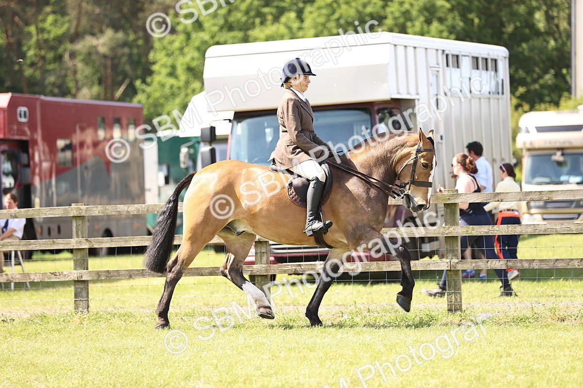 SBM_13693 - Class 77 - LIHS BSHA Rising Star Cobs