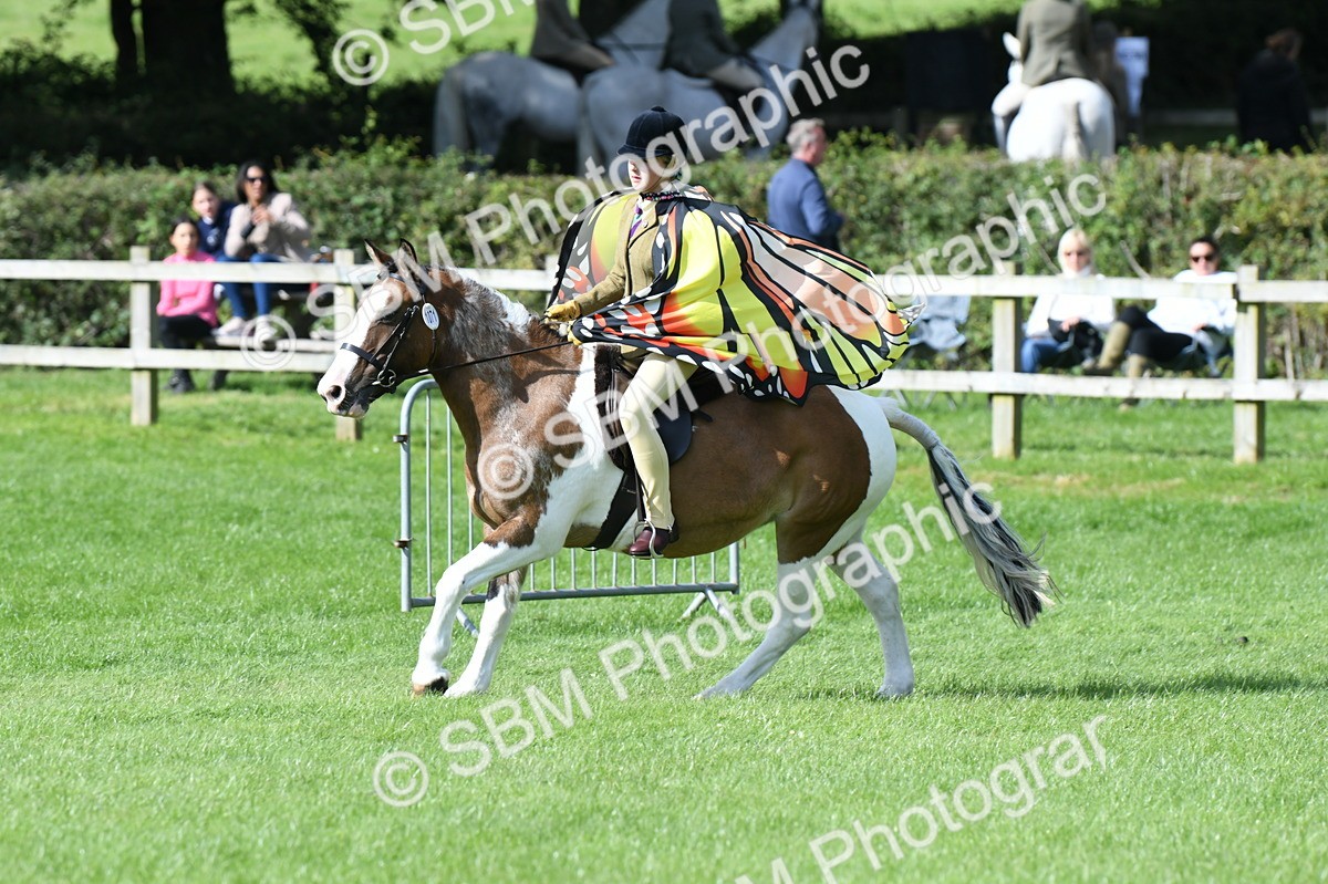 SBM_47100 - S12 - Family Horse & Pony