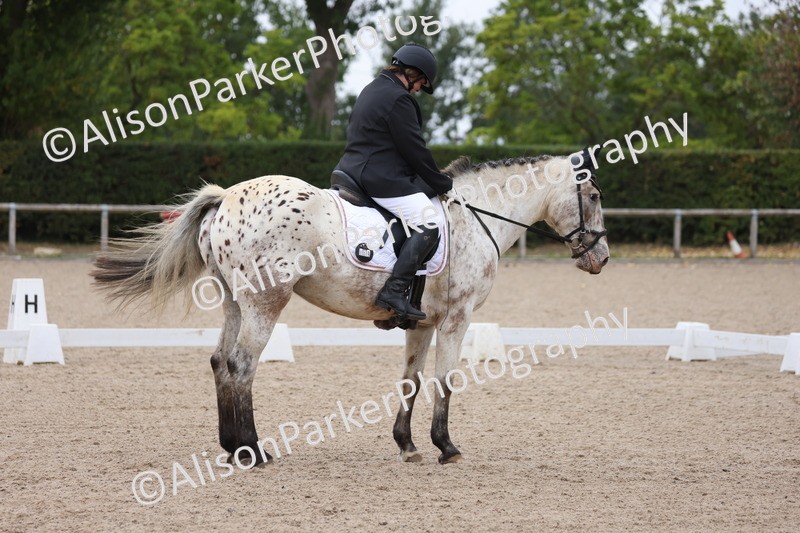 20250820-0301 - Class 9 - My Quest Prelim 3