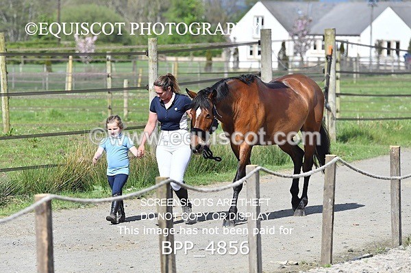 BPP_4856 - SUN CLASS 25 Senior Newcomers/ 1.10m Open