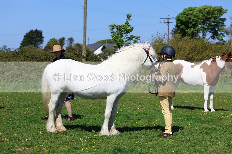 3E7A9890 - Class 17: Young Handler