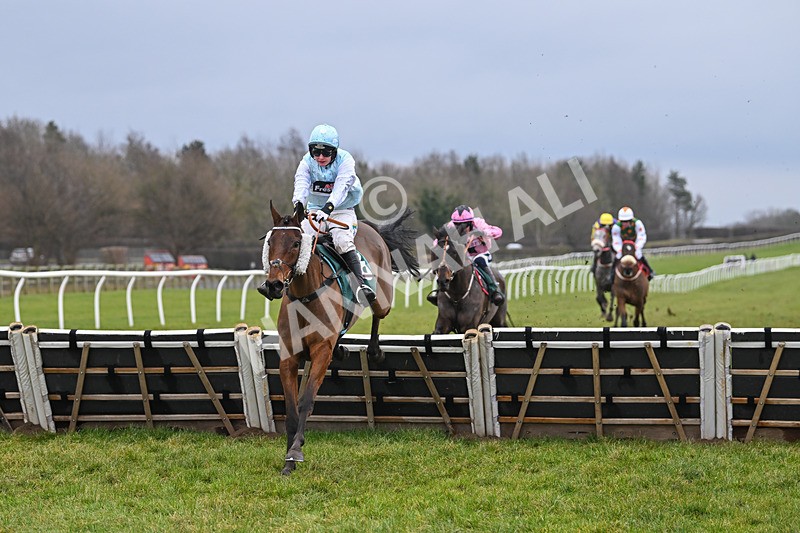 100225-Race 1-Tigerbythetail-6327 - Race 1