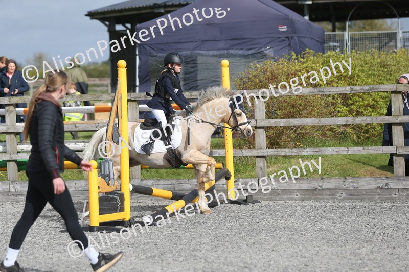 20260412-0102 - Show Jumping