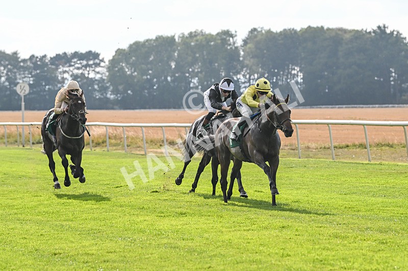 150825-Race 1-Alaminos-2362 - Race 1