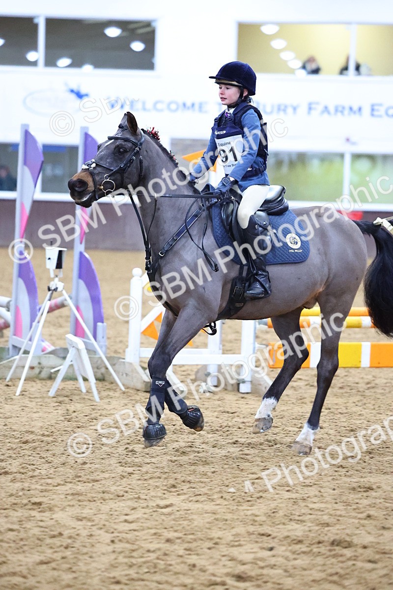 SBM_001282 - Class 3 - Christmas Tree Stakes - 60cm