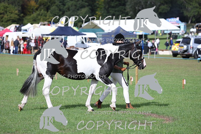 APP_2573 - Class 9 Veterans in hand