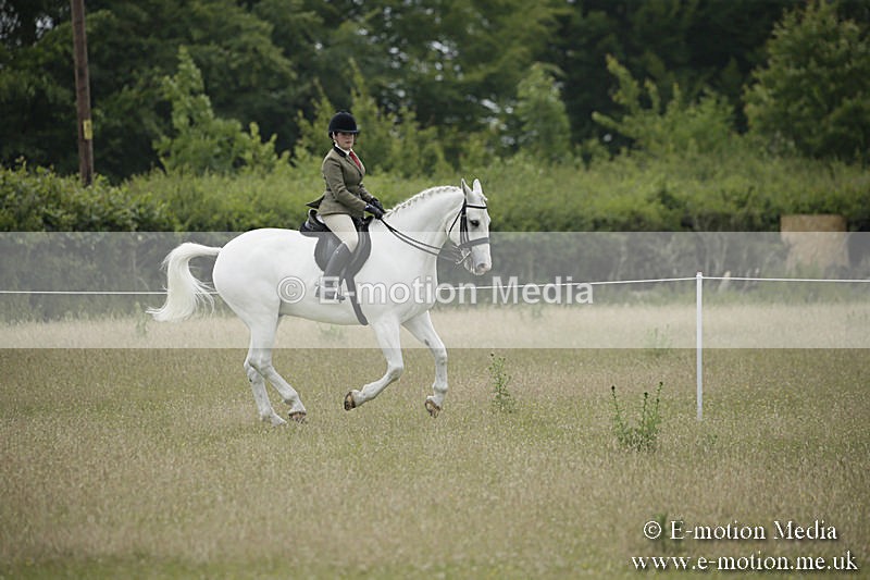 B230619-0712 - Bourne Valley Riding Club Summer Show 23/06/19