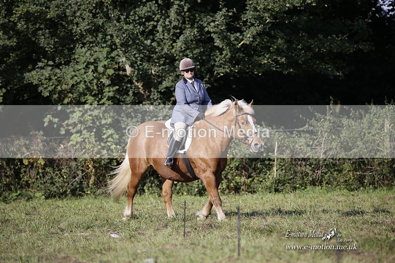 BVRC 120921 85 - Bourne Valley Riding Club UA Dressage & Show Jumping 12/09/21
