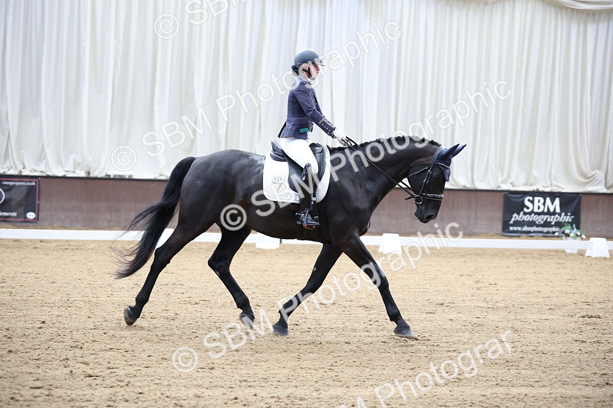 SBM_002229 - Class 5 - Novice 6 Gold - 9.00-10.10