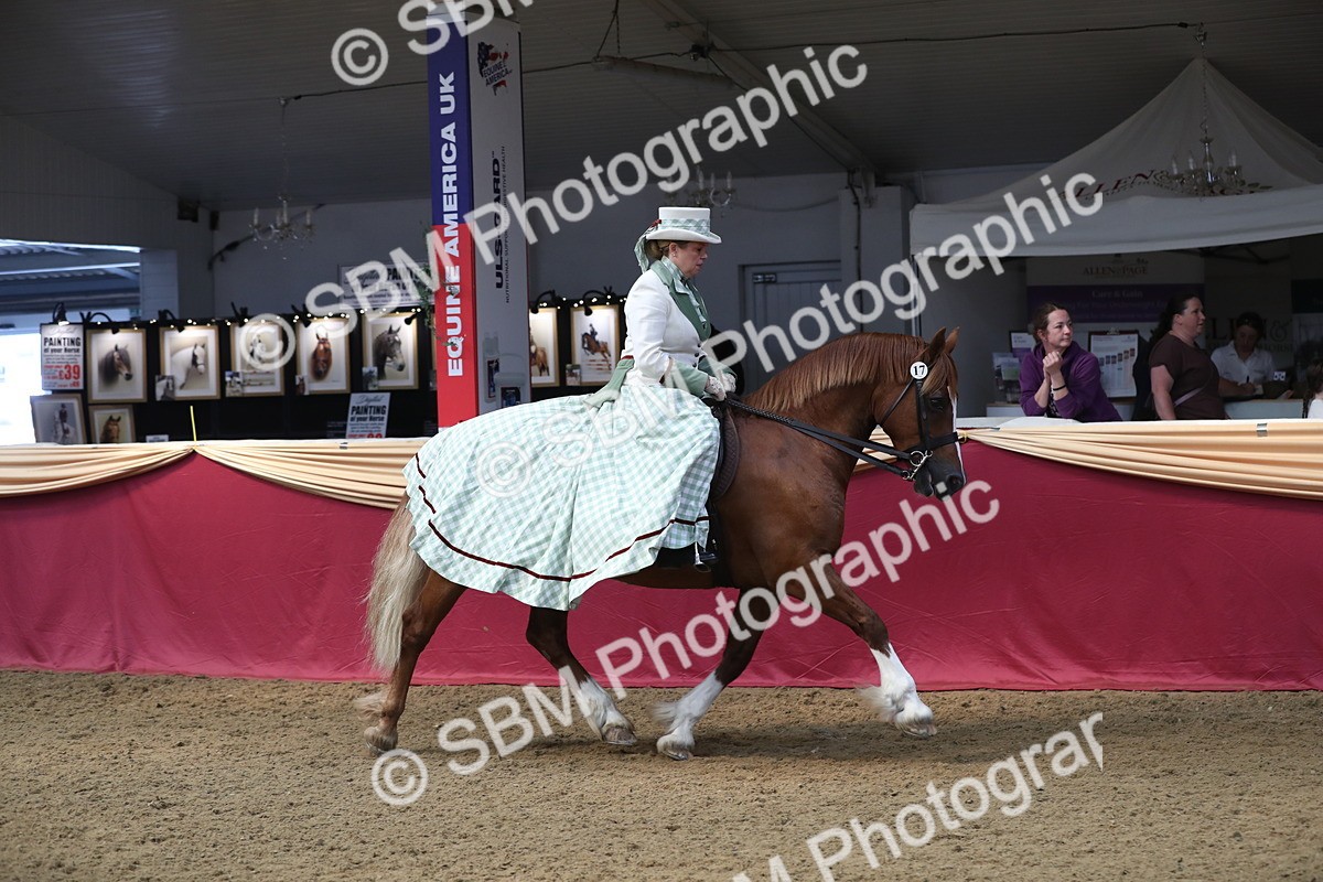 SBM_12090 - Class 106 Ridden Costume- Astride Adult (15-19)