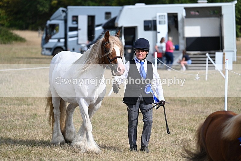 WJ7_8016 - In-hand Championship