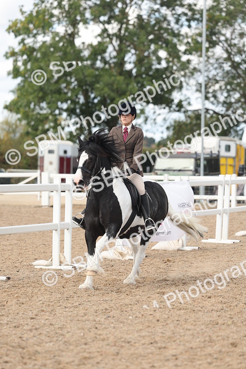 SBM_14666 - Class 307 - Ridden Coloured Pony