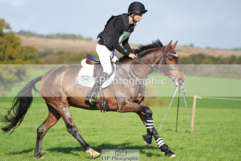 251024A-112123-07215 - A-017-Harrison.Chart