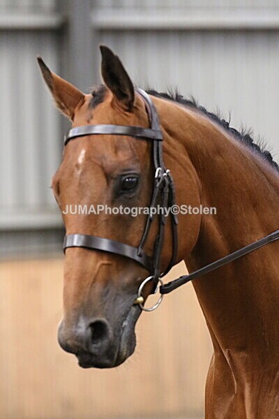 SIAL2480 - Sunday 14th Ridden