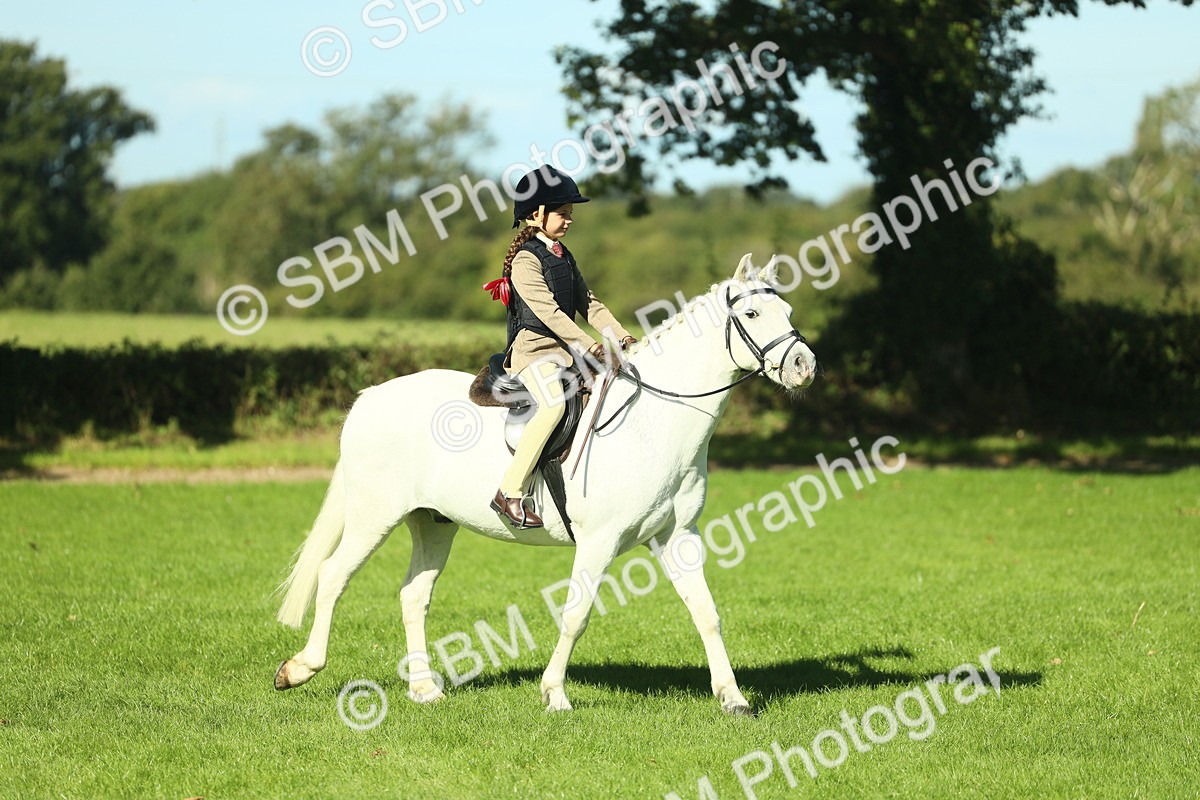 SBM_37493 - S29 - Novice & Newcomers Working Hunter Pony