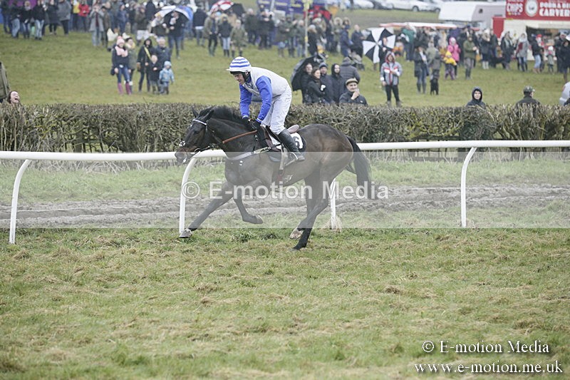 PtP 020418 -328 - Old Berks Point-to-Point Races Easter Monday 02/04/18
