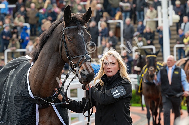 161125-Race 1-Soldier Reeves-1196 - Race 1
