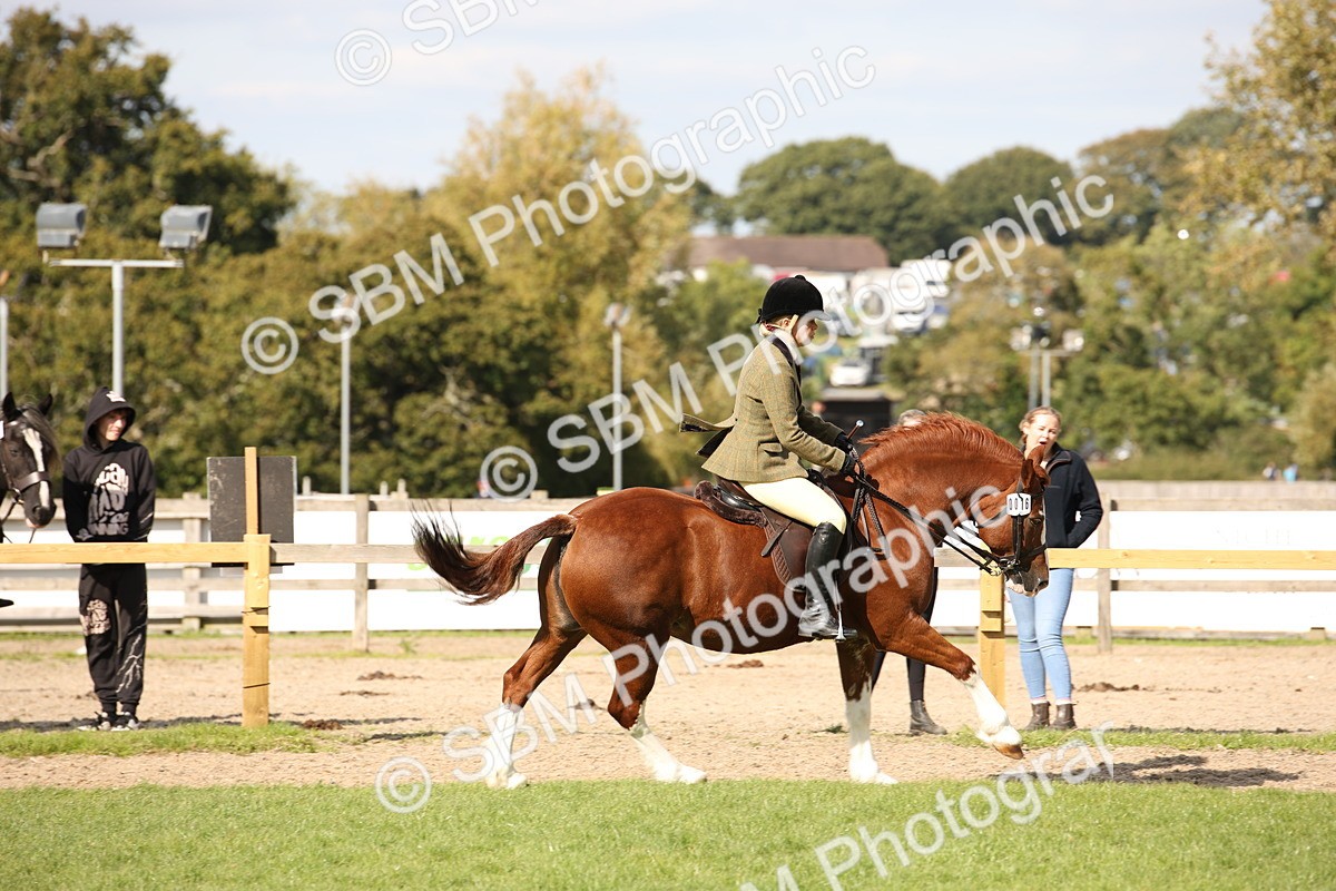 SBM_50048 - S26 - Young Veteran - Ridden