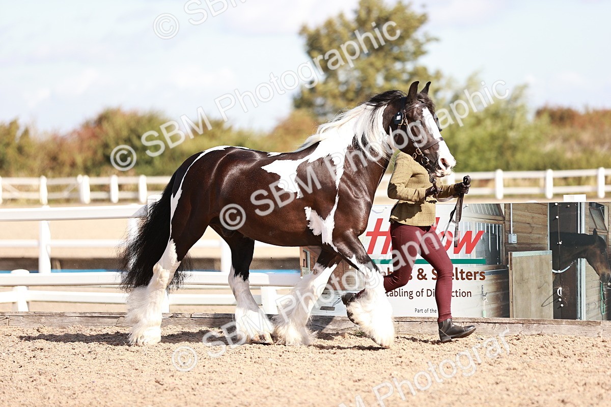 SBM_12577 - Class 404 - IH Traditional - Native Cob