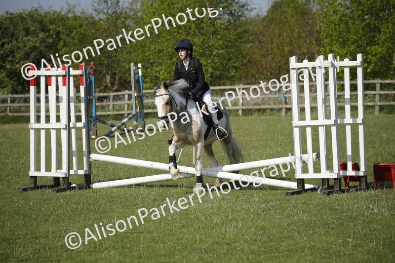 20250427-0377 - Class 12 - Rookie Jumping 40cm