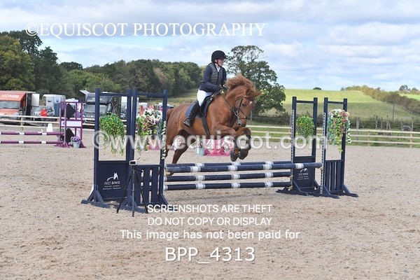 BPP_4313 - CLASS 6 HORSE 60CM FINAL