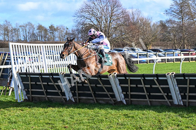 120224-Race 1-Pickanumber-0798 - Race 1