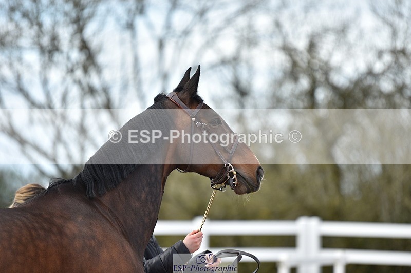 240417A-151428-00791 - 3pm to 4pm