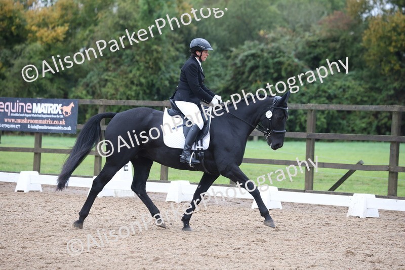 20261021-0745 - Class 6 - Novice 3