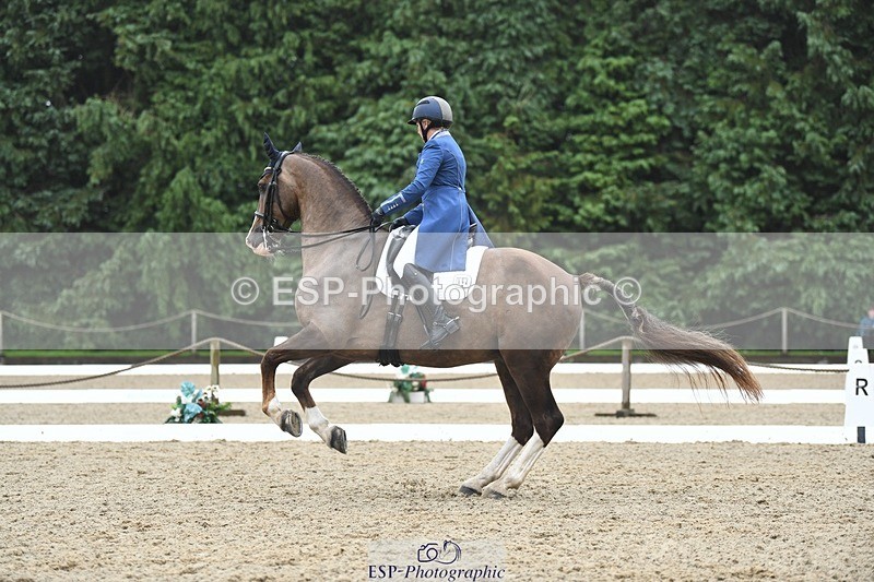 240720-143555-05711 - 142-Amberley_Pugsley-Hero_A