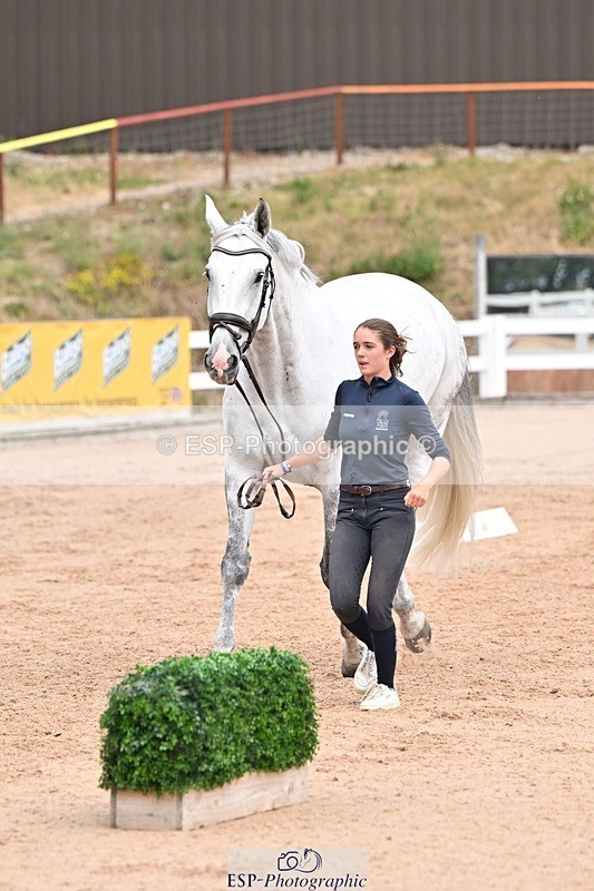 250716-142952-01126 - Trot Up 1.30 to 2.30
