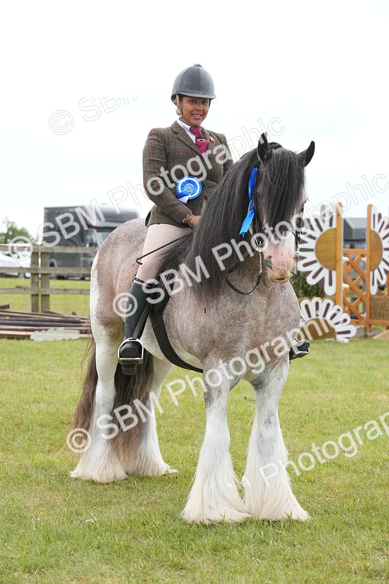 SBM_17687 - Class 107-108 - LIHS BSPS Performance Coloured Horse Pony