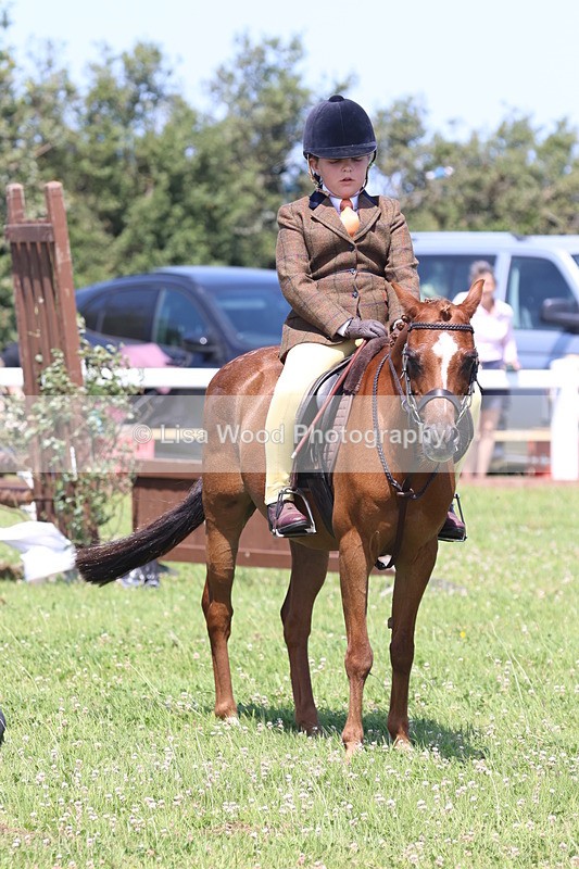 JPP_2306 - Class 20: Tiny Tots Working Hunter Pony