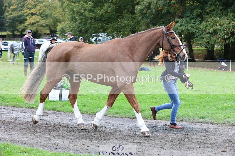 251026A-113440-25535 - F-435-Megan.Clarke