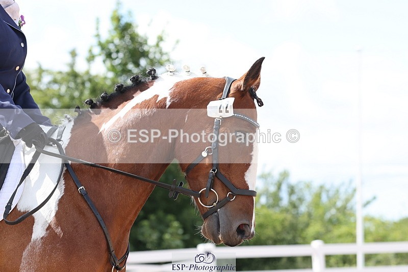 240706A-160046-04311 - Cls 9 RT Novice 27