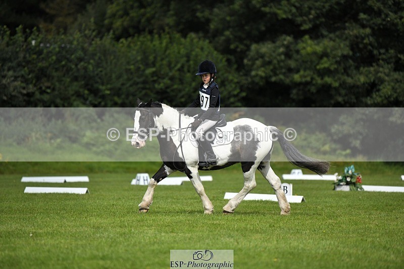 230826-112809-15869 - Sections C & D 10 to End