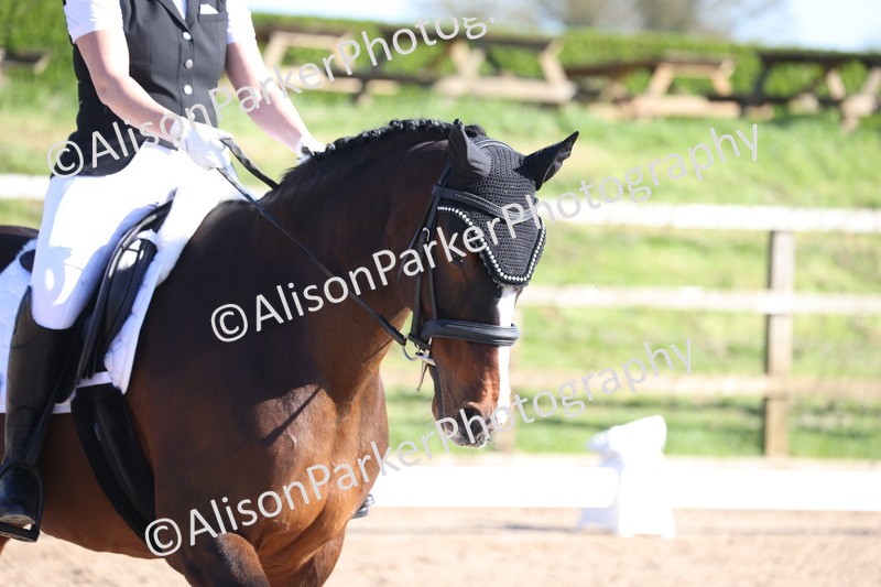 20260318-0746 - Class 7 - Elementary 1