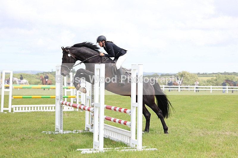 3E7A7461 - Class 13: Senior British Novice/90cm open