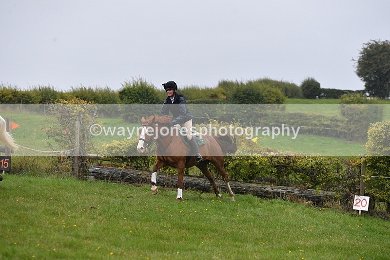 WJ5_6952 - Time 13:31 to 14:00