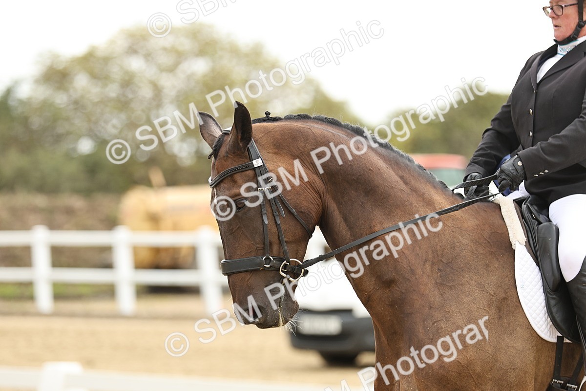 SBM_006930 - Class 21 - Medium 5 Bronze - 10.04-10.52