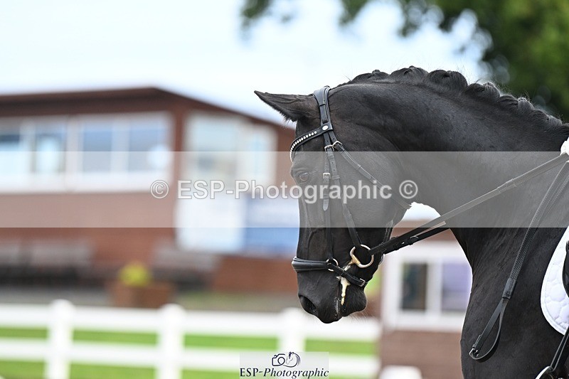 250907-112021-07195 - 003-Helen.JamesDecadent