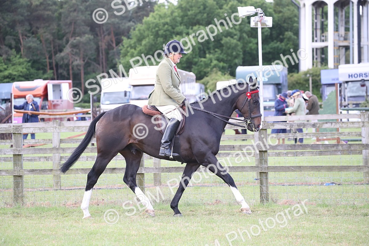 SBM_14164 - Class 113-114 - Retraining of Racehorses Ridden