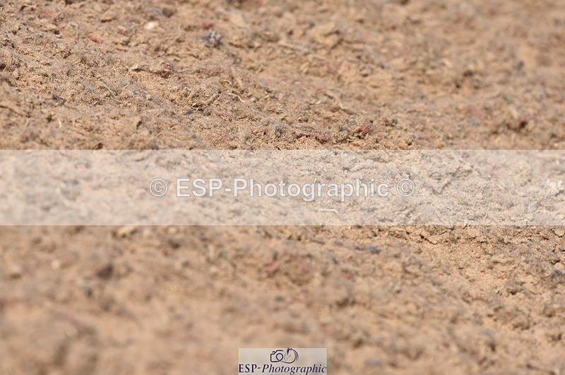 230810A-110122-00775 - Cls 9 Foxhunter