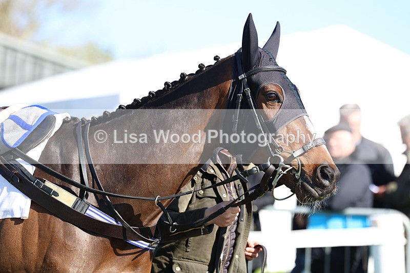 3E7A5590 - Race 6: Maiden (NWFAA)