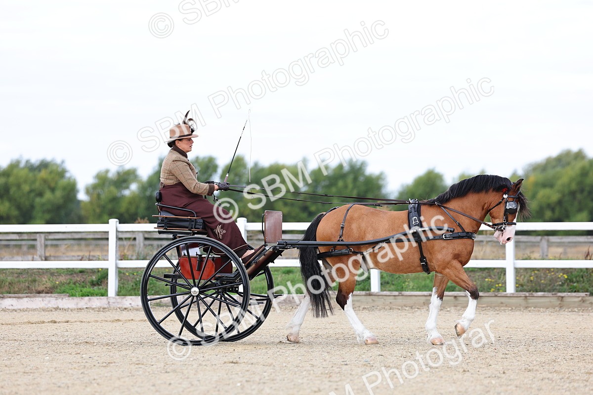 SBM_000243 - Class 2 - Exercise Vehicle 13.2hh & Under