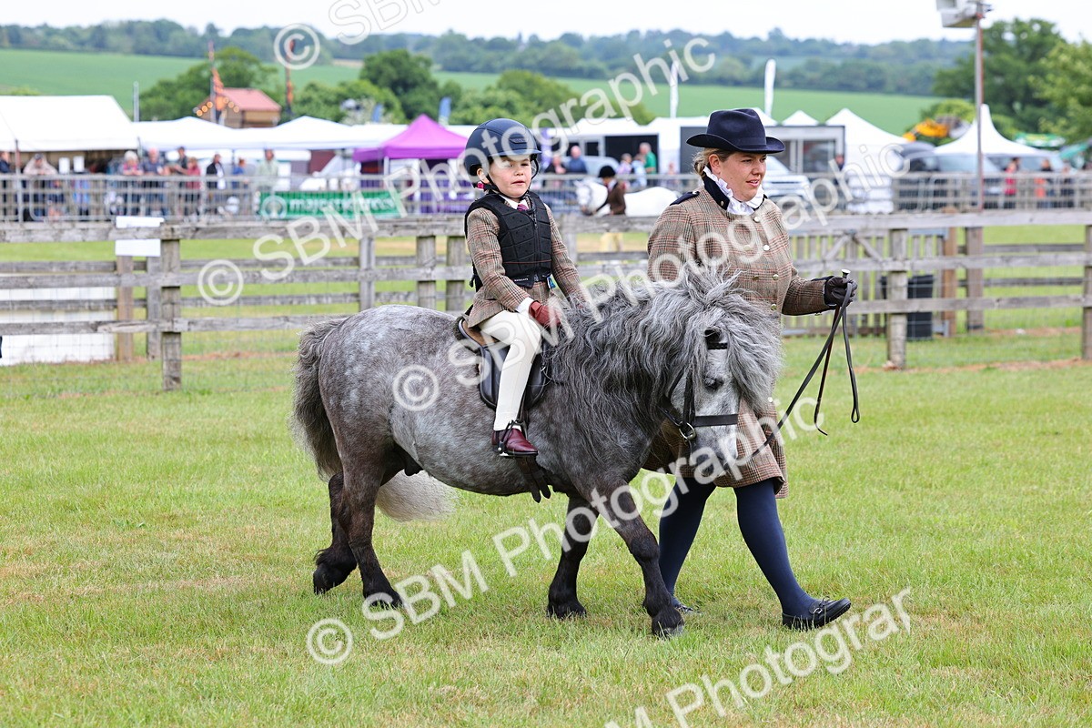 SBM_08113 - Class 42-43 - LIHS BSPS Heritage Working Sports Pony