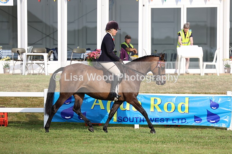 3E7A7794 - Class 1: Rising Star Small Hack/Riding Horses