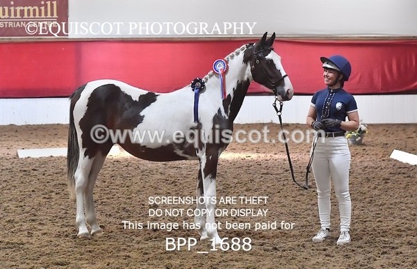 BPP_1688 - MORNING 9AM - 12PM