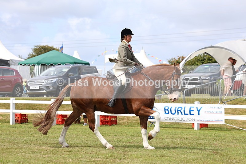 3E7A0173 - Class 6: Rising Star Maxi Cobs